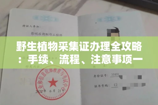 无锡野生植物采集证办理全攻略:手续、流程、注意事项一网打尽